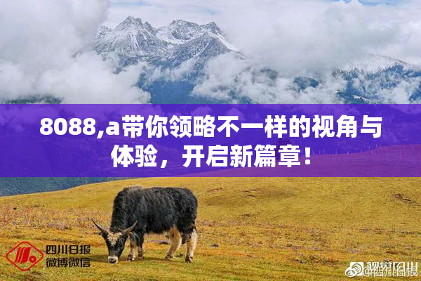8088,a带你领略不一样的视角与体验，开启新篇章！