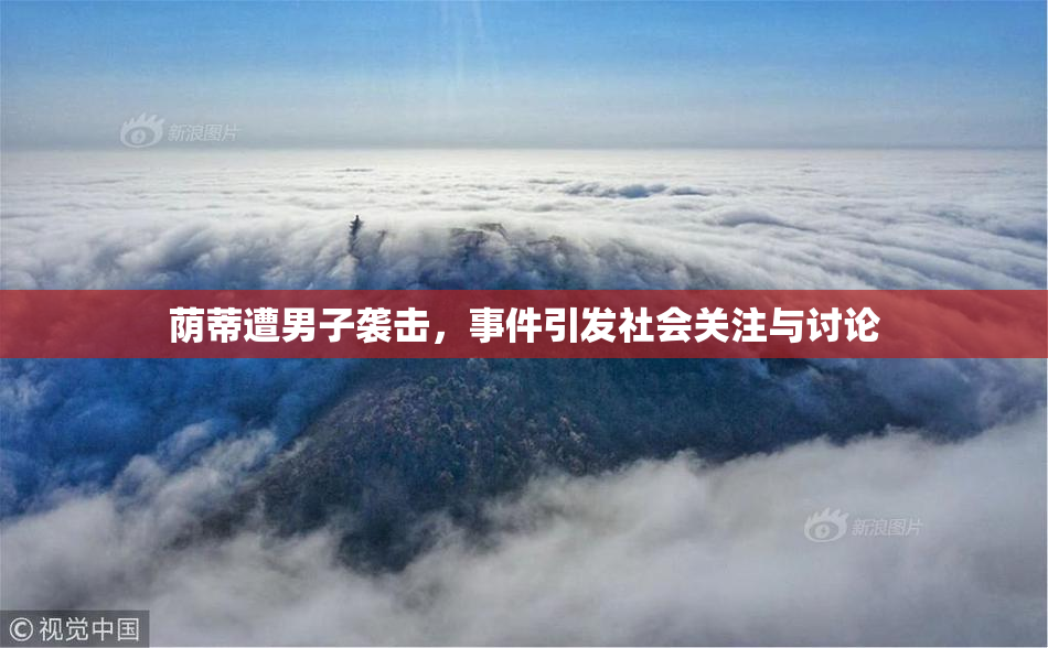 荫蒂遭男子袭击，事件引发社会关注与讨论