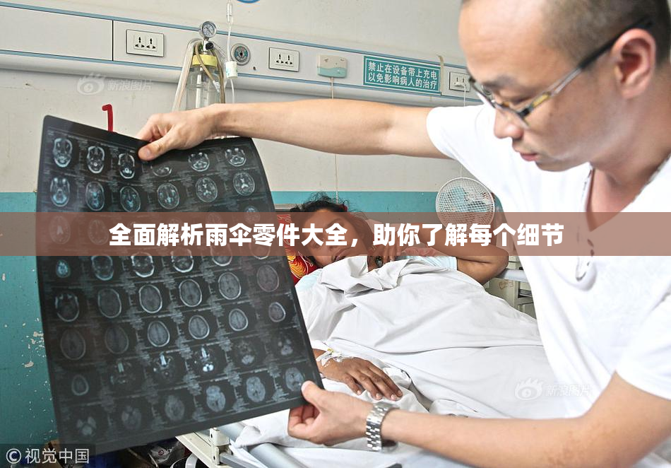 全面解析雨伞零件大全，助你了解每个细节