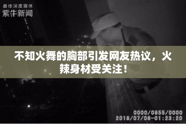 不知火舞的胸部引发网友热议，火辣身材受关注！