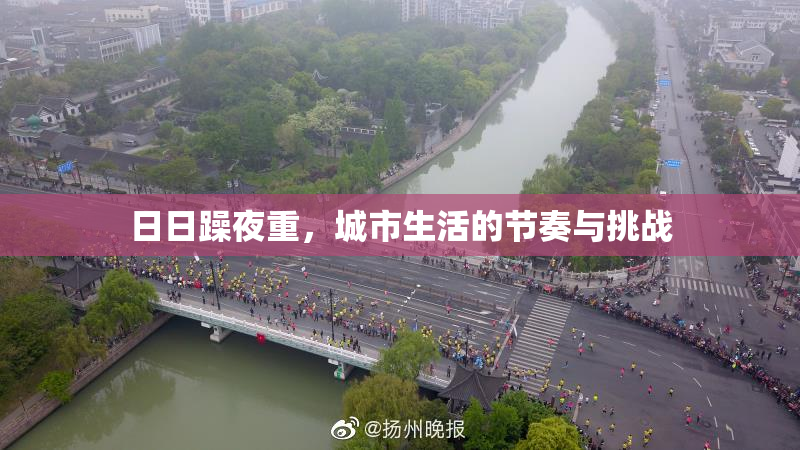 日日躁夜重，城市生活的节奏与挑战