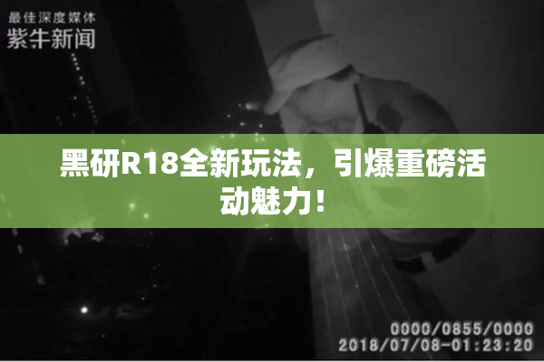 黑研R18全新玩法，引爆重磅活动魅力！