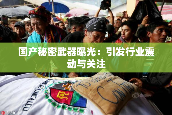 国产秘密武器曝光：引发行业震动与关注
