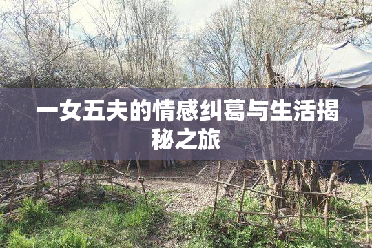 一女五夫的情感纠葛与生活揭秘之旅