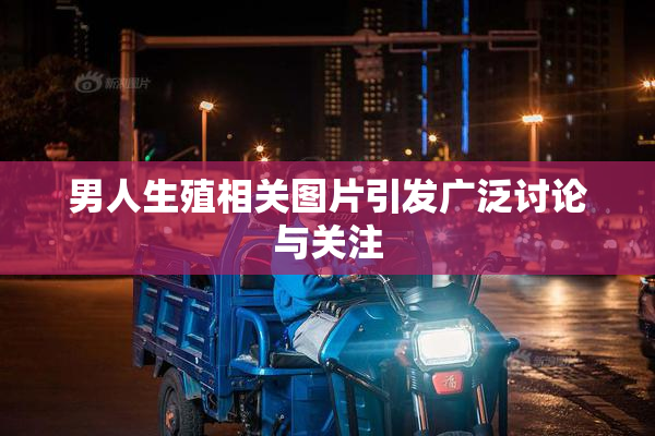 男人生殖相关图片引发广泛讨论与关注