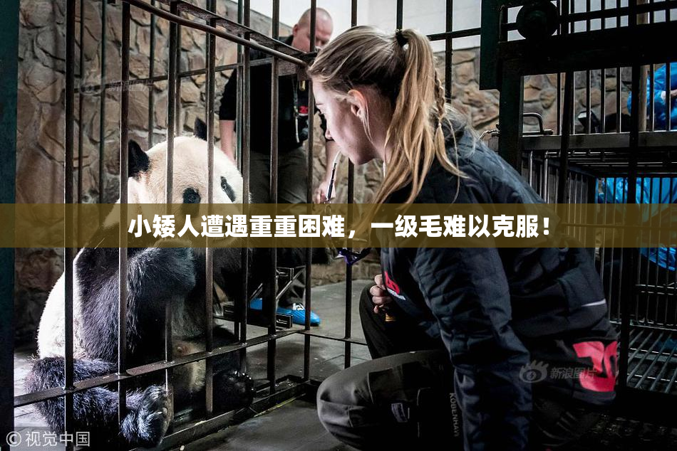 小矮人遭遇重重困难，一级毛难以克服！