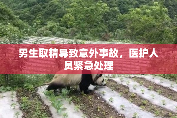 男生取精导致意外事故，医护人员紧急处理
