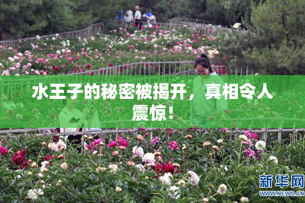水王子的秘密被揭开，真相令人震惊！