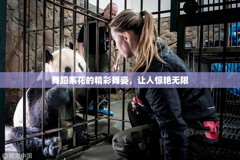 舞蹈系花的精彩舞姿，让人惊艳无限