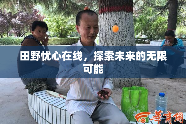 田野忧心在线，探索未来的无限可能