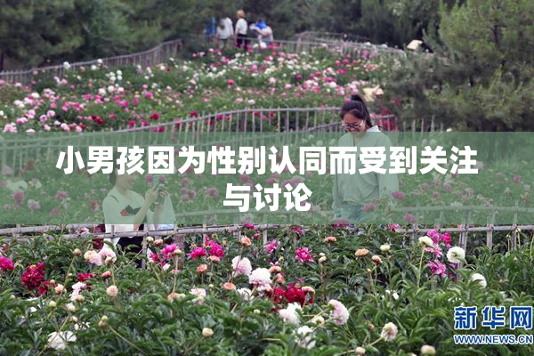 小男孩因为性别认同而受到关注与讨论