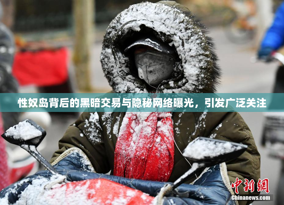 性奴岛背后的黑暗交易与隐秘网络曝光，引发广泛关注