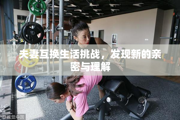 夫妻互换生活挑战，发现新的亲密与理解