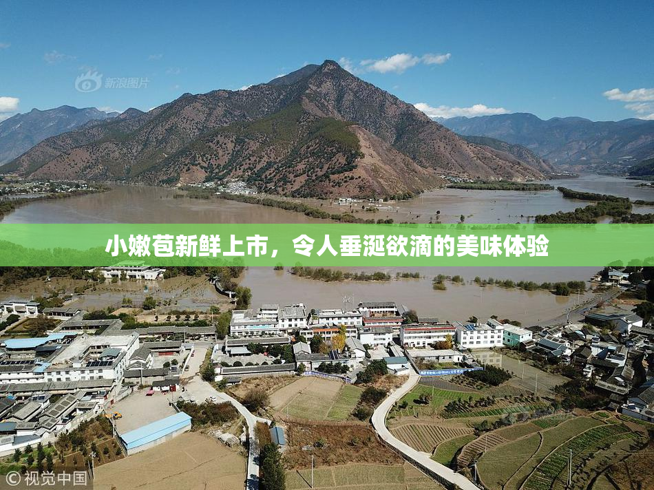 小嫩苞新鲜上市，令人垂涎欲滴的美味体验
