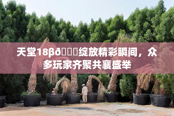 天堂18β🍆绽放精彩瞬间，众多玩家齐聚共襄盛举