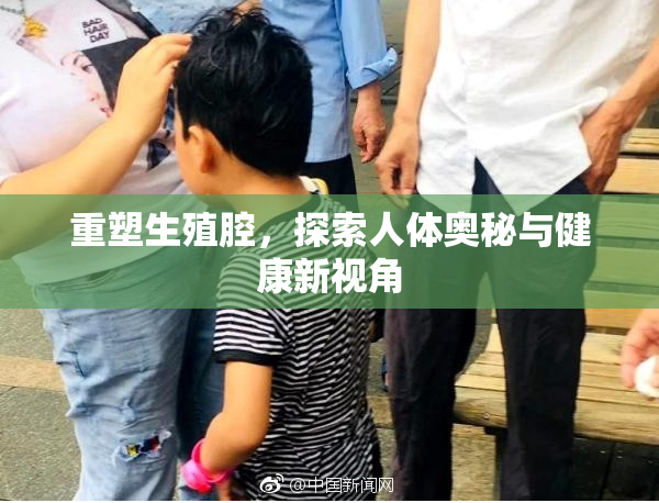 重塑生殖腔，探索人体奥秘与健康新视角