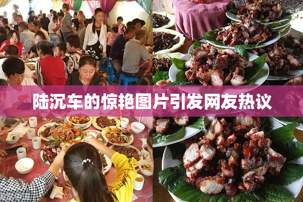 陆沉车的惊艳图片引发网友热议