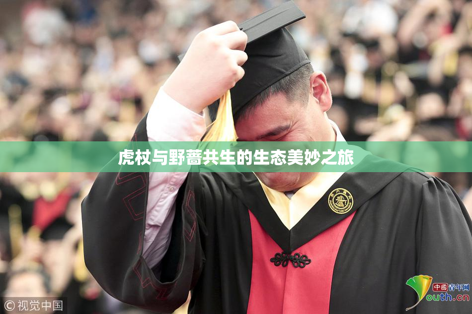虎杖与野蔷共生的生态美妙之旅