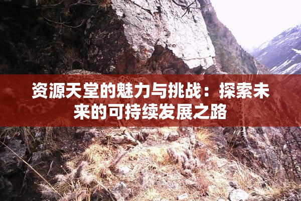 资源天堂的魅力与挑战：探索未来的可持续发展之路