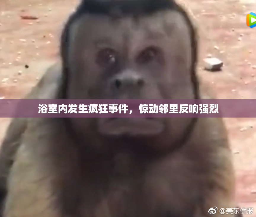 浴室内发生疯狂事件，惊动邻里反响强烈