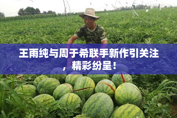 王雨纯与周于希联手新作引关注，精彩纷呈！