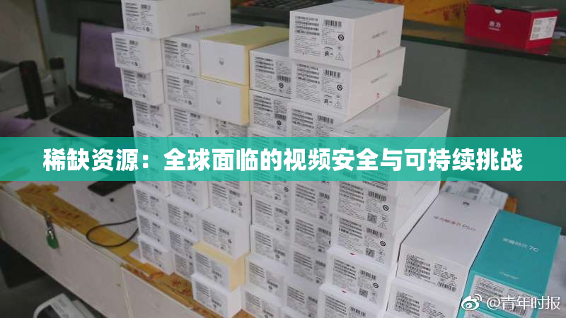 稀缺资源：全球面临的视频安全与可持续挑战