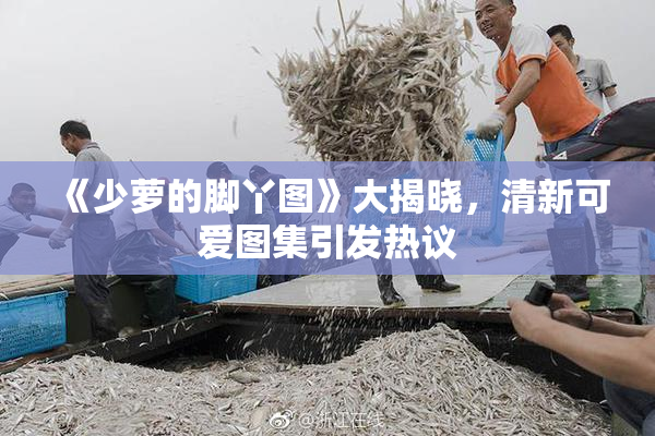 《少萝的脚丫图》大揭晓，清新可爱图集引发热议