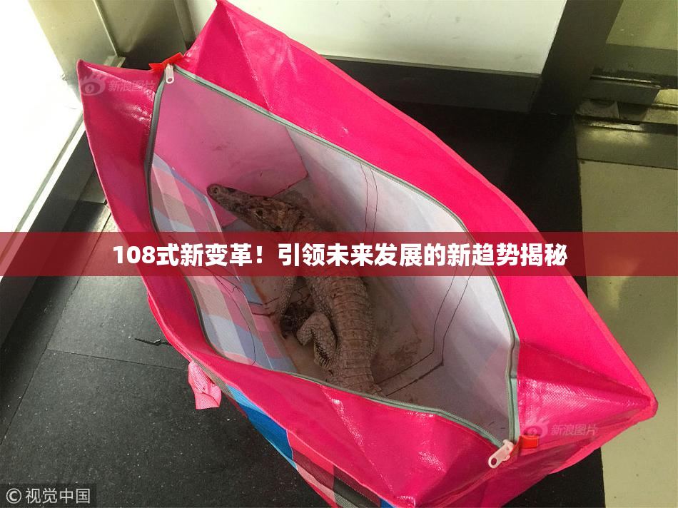 108式新变革！引领未来发展的新趋势揭秘
