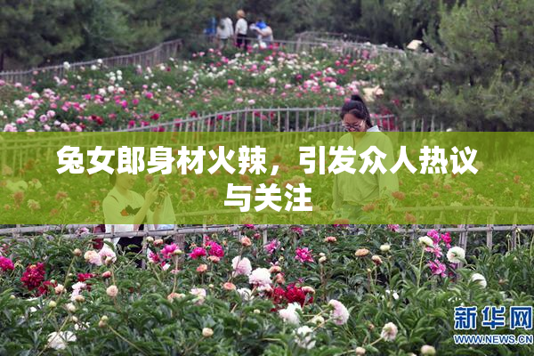 兔女郎身材火辣，引发众人热议与关注