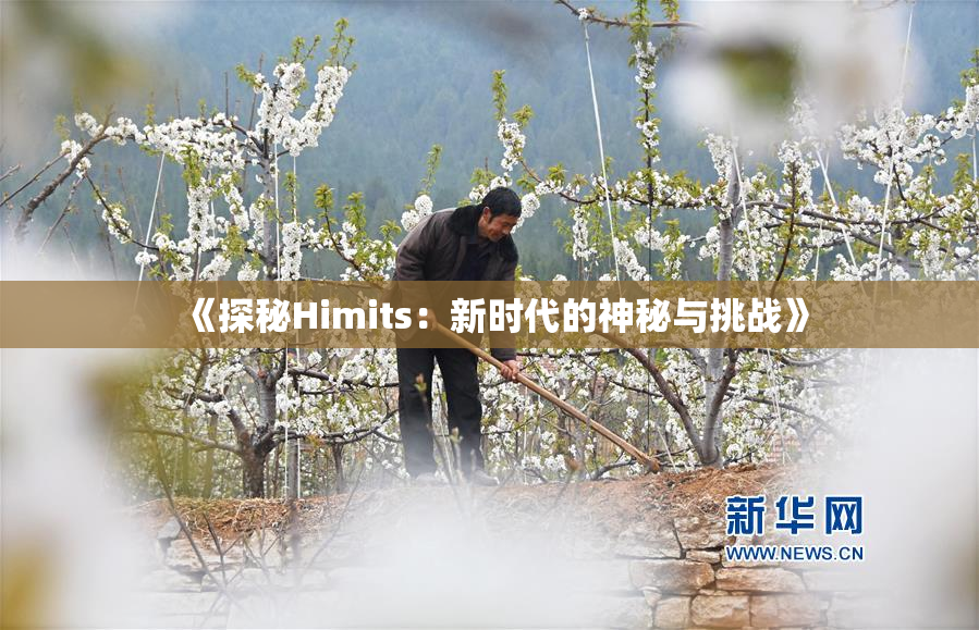 《探秘Himits：新时代的神秘与挑战》