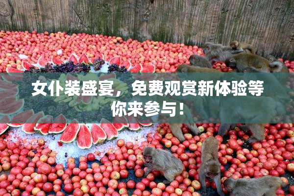 女仆装盛宴，免费观赏新体验等你来参与！