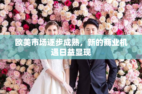 欧美市场逐步成熟，新的商业机遇日益显现