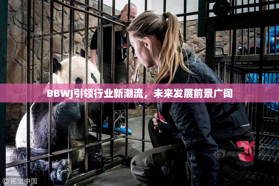 BBWJ引领行业新潮流，未来发展前景广阔