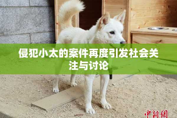 侵犯小太的案件再度引发社会关注与讨论