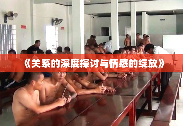 《关系的深度探讨与情感的绽放》