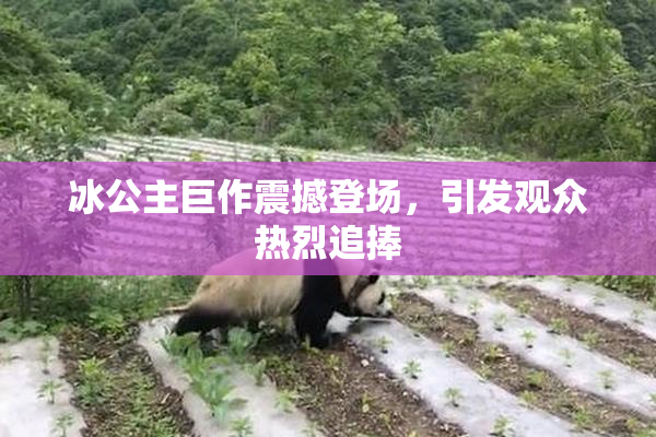 冰公主巨作震撼登场，引发观众热烈追捧