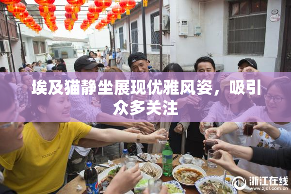 埃及猫静坐展现优雅风姿，吸引众多关注