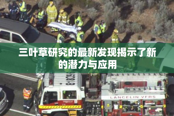 三叶草研究的最新发现揭示了新的潜力与应用