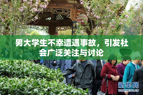 男大学生不幸遭遇事故，引发社会广泛关注与讨论