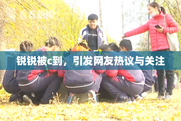 锐锐被c到，引发网友热议与关注
