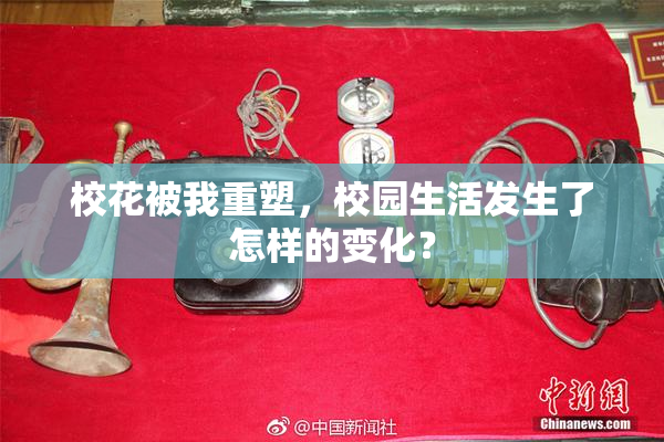 校花被我重塑，校园生活发生了怎样的变化？
