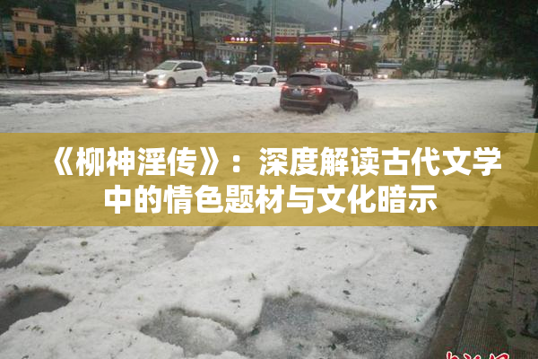 《柳神淫传》：深度解读古代文学中的情色题材与文化暗示