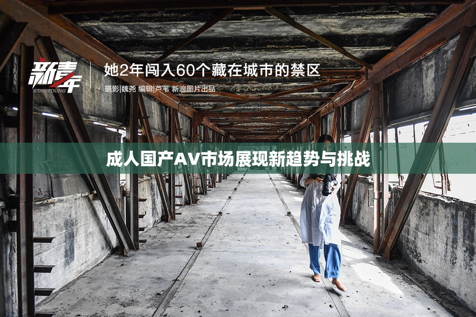 成人国产AV市场展现新趋势与挑战