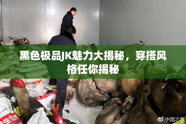 黑色极品JK魅力大揭秘，穿搭风格任你揭秘