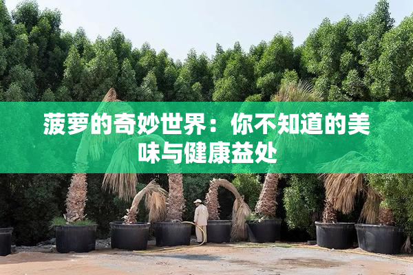 菠萝的奇妙世界：你不知道的美味与健康益处