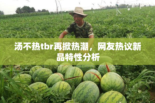 汤不热tbr再掀热潮，网友热议新品特性分析