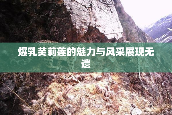 爆乳芙莉莲的魅力与风采展现无遗