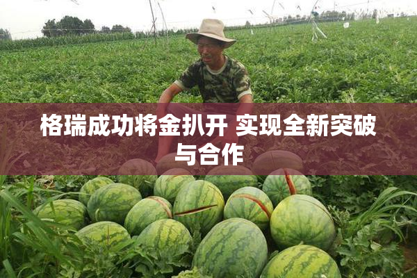 格瑞成功将金扒开 实现全新突破与合作