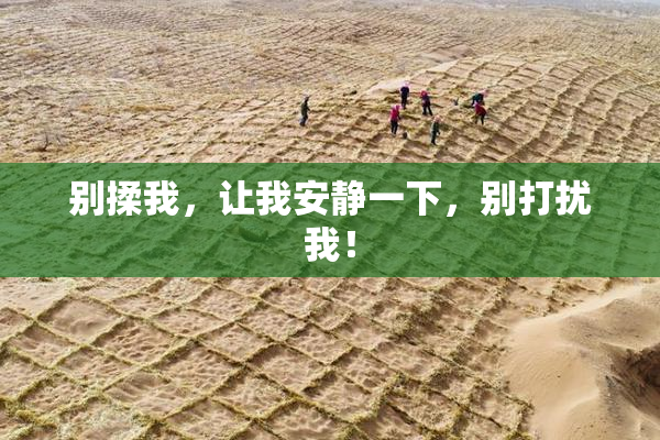 别揉我，让我安静一下，别打扰我！
