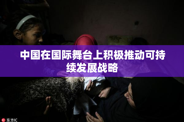 中国在国际舞台上积极推动可持续发展战略